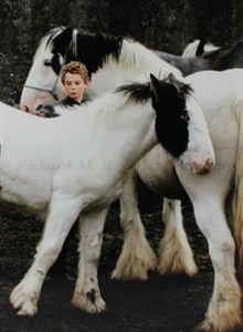 Image description is not available for 2008.058